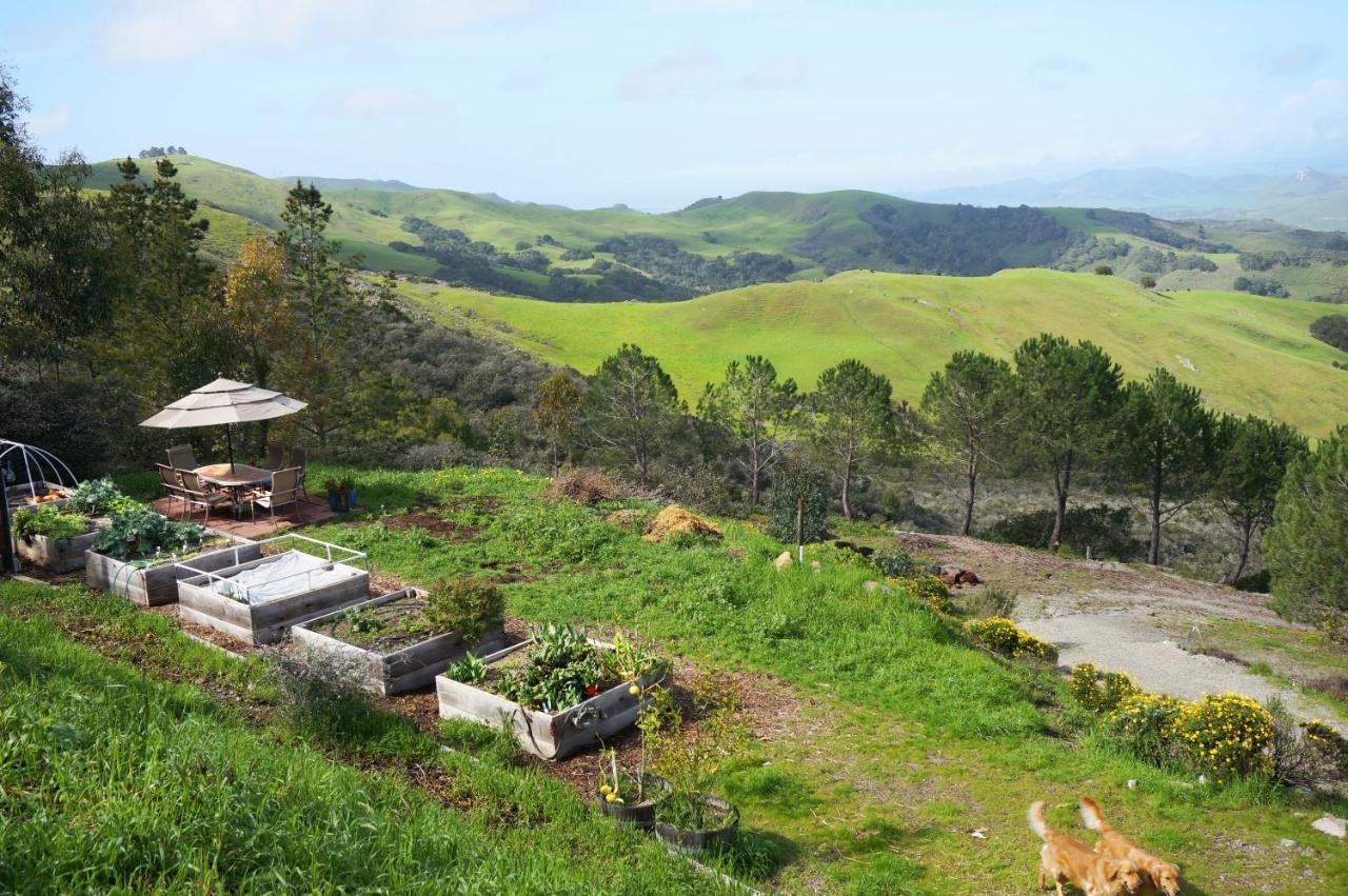 Mountain Top Getaway, Best View In Slo! - Whole House San Luis Obispo Ngoại thất bức ảnh