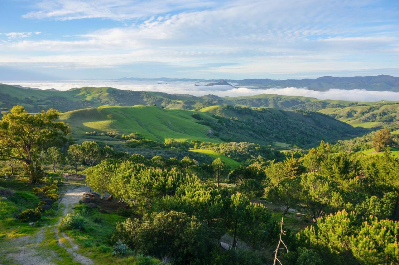 Mountain Top Getaway, Best View In Slo! - Whole House San Luis Obispo Ngoại thất bức ảnh